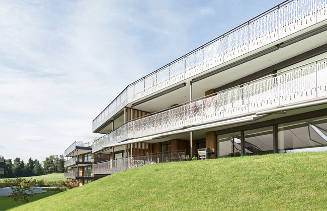 Residential development, Erlenbach