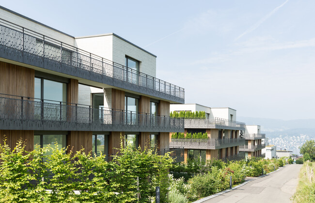 Residential development, Erlenbach